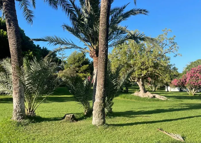 Coronado Apartamento